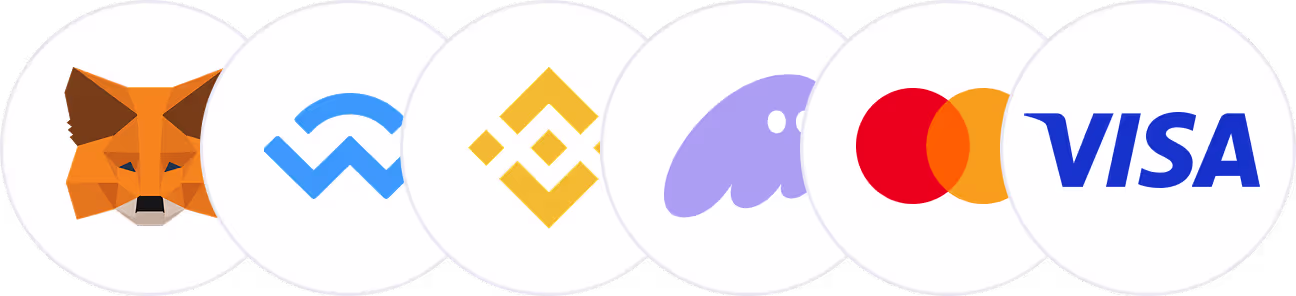 A list of wallets and payment methods e.g. Metamask, WalletConnect, Phantom, Visa